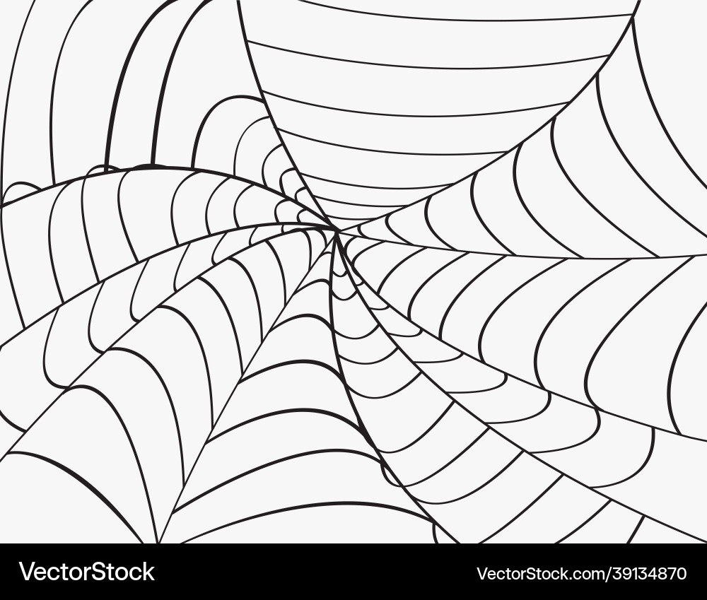 Web with spider background eps10 vector image