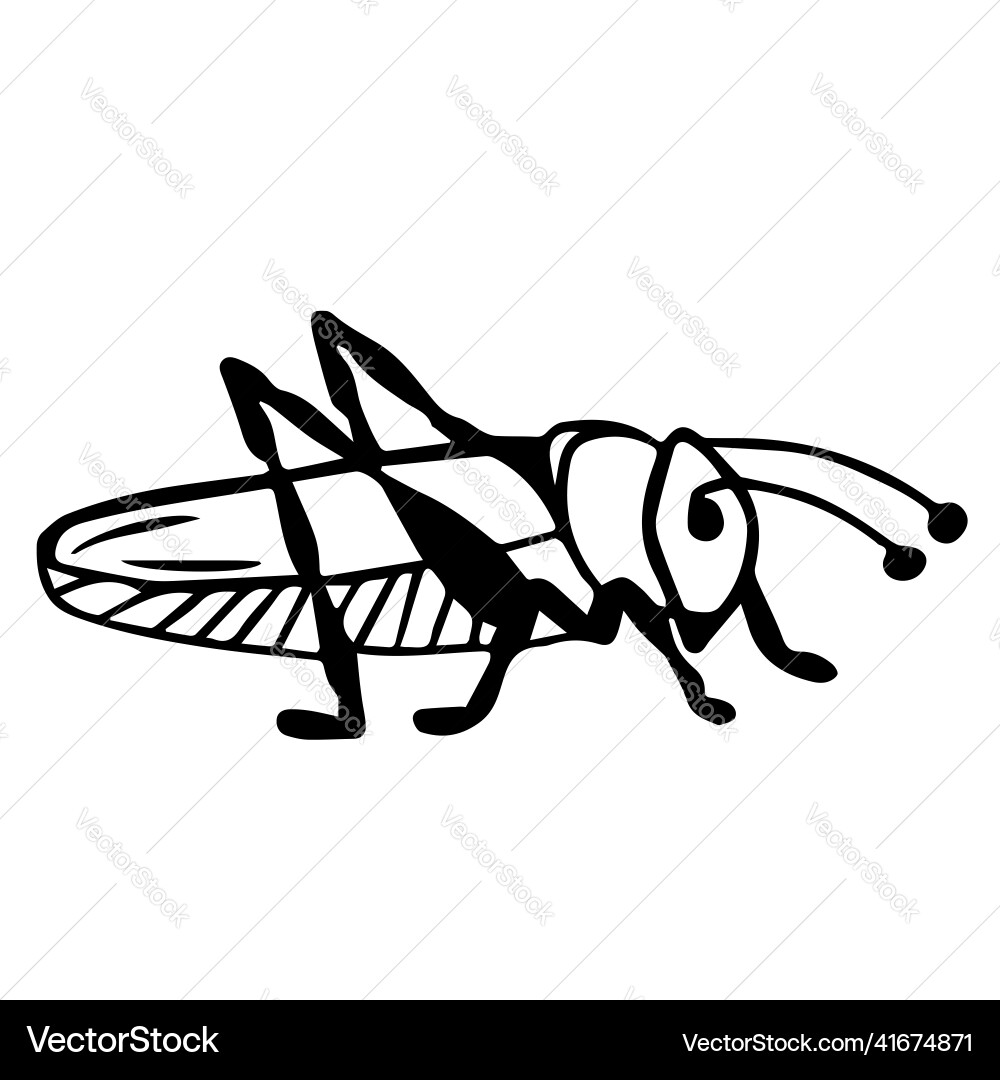 Grasshopper locust in the style of doodles Vector Image
