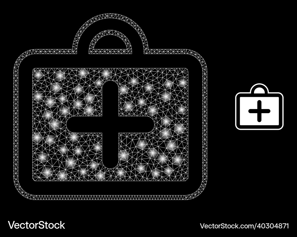 Mesh net first-aid case with glitter wire Mesh net first-aid case with glitter wire Vector Image