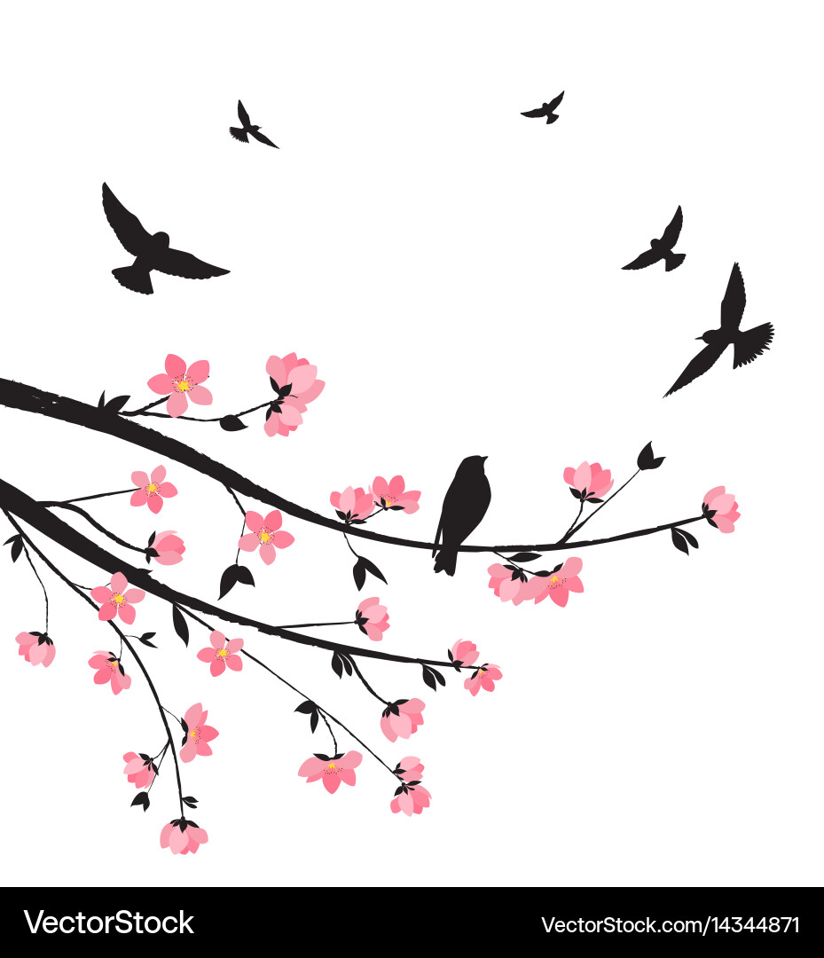 Spring sakura blossom Royalty Free Vector Image