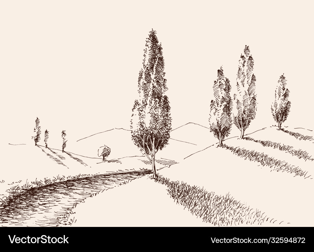 Nature Path Through Poplars and Hills vector image