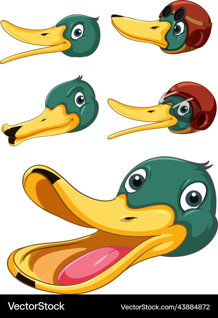 Set of duck head with different facial expression Vector Image