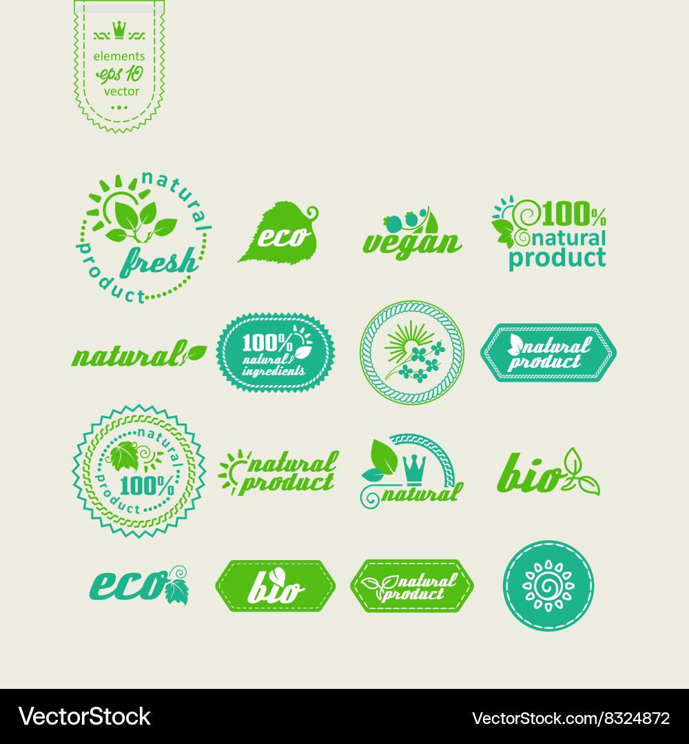 Set of elements for design Vector Image