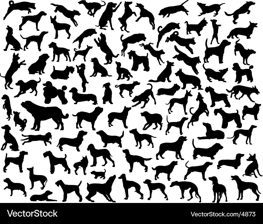Dog Silhouettes vector image