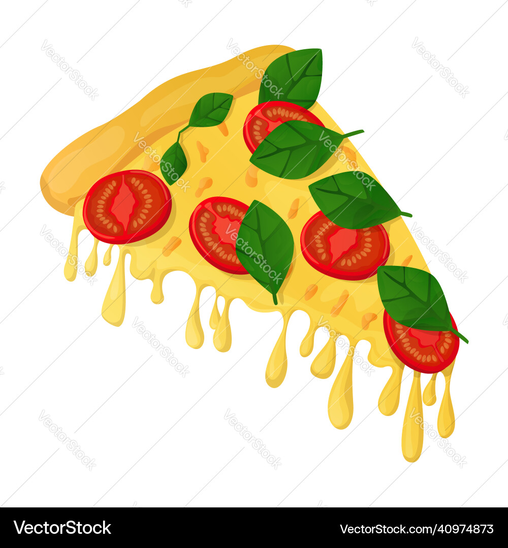 Image with a triangular slice of pizza cheese vector image
