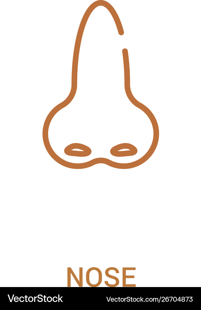 Nose concept 2 colored icon simple line element Nose concept 2 colored icon simple line element vector image