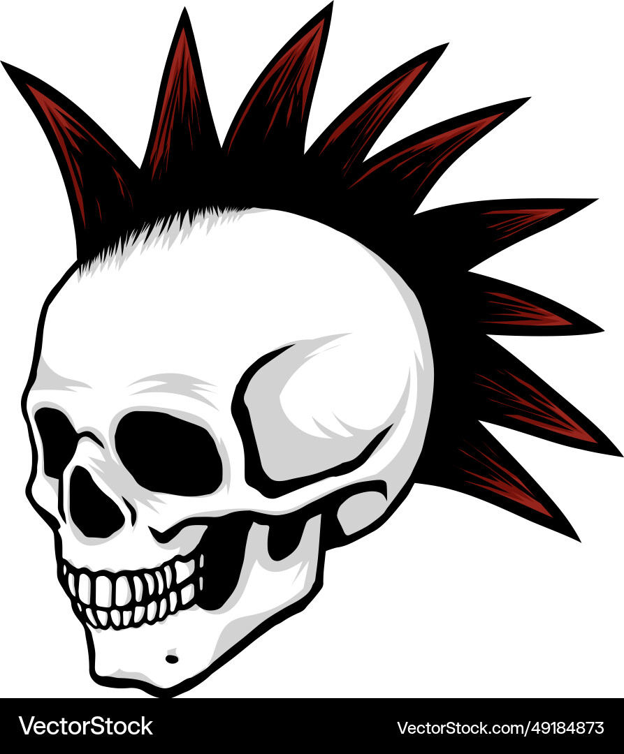 Skull punk head vector image