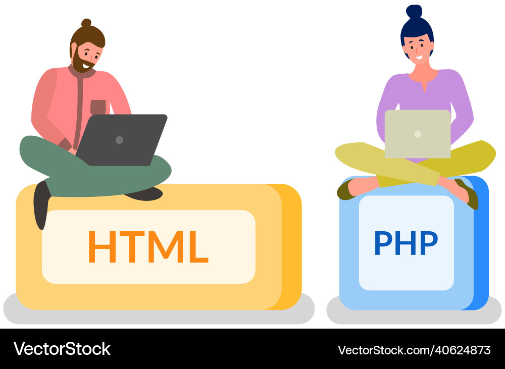 Woman programmer working withl aptop to create Woman programmer working withl aptop to create Vector Image