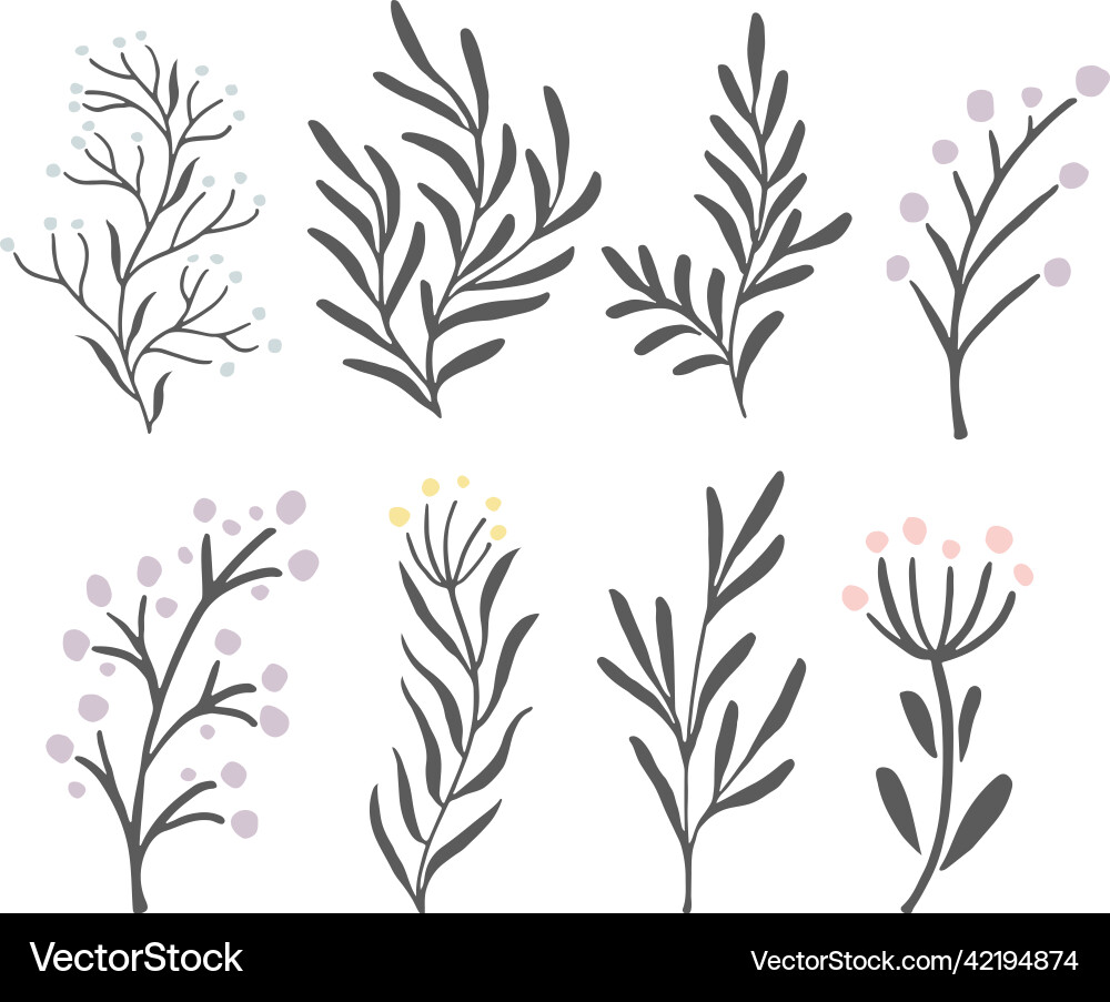 Botanische Zweige Set dekorative Blumendruck Botanische Zweige Set dekorative Blumendruck vektorbild