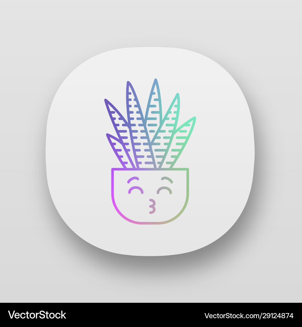 Zebra cactus app icon Vector Image