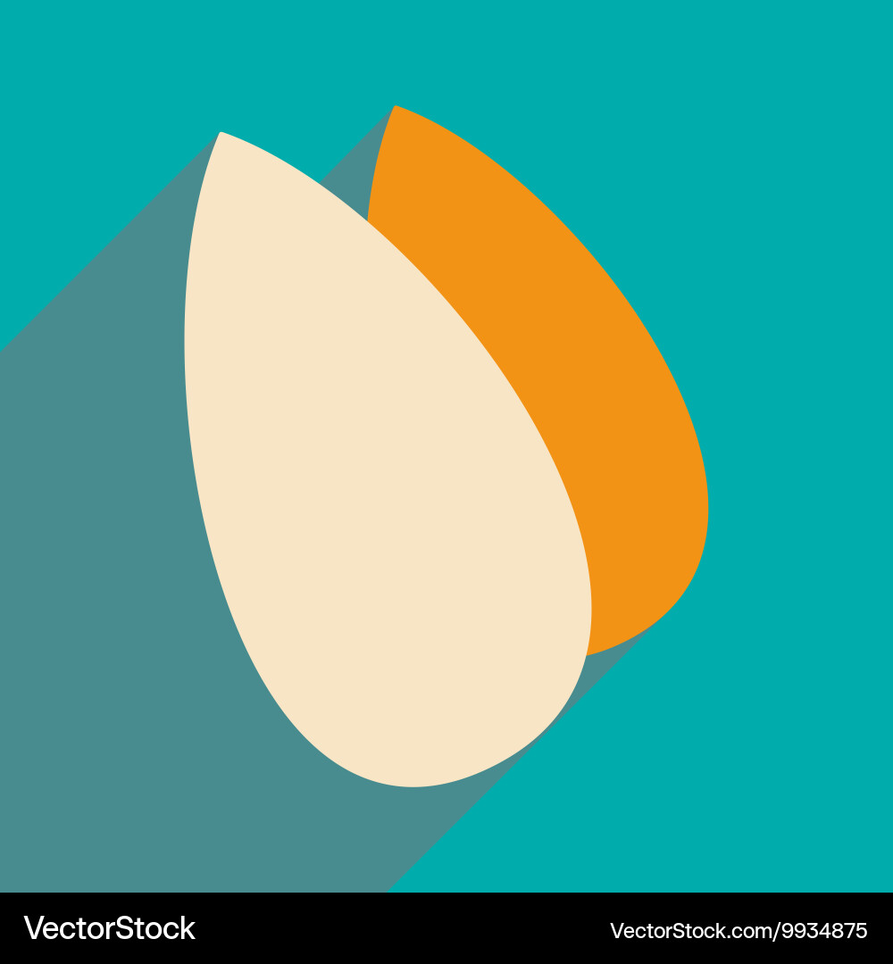 Flat with shadow icon and mobile application vector image