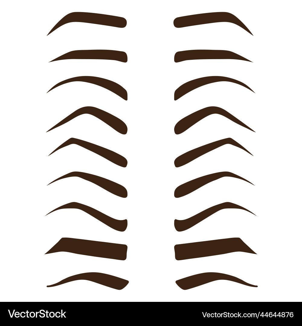 Eyebrow shape set different types of eyebrows Vector Image