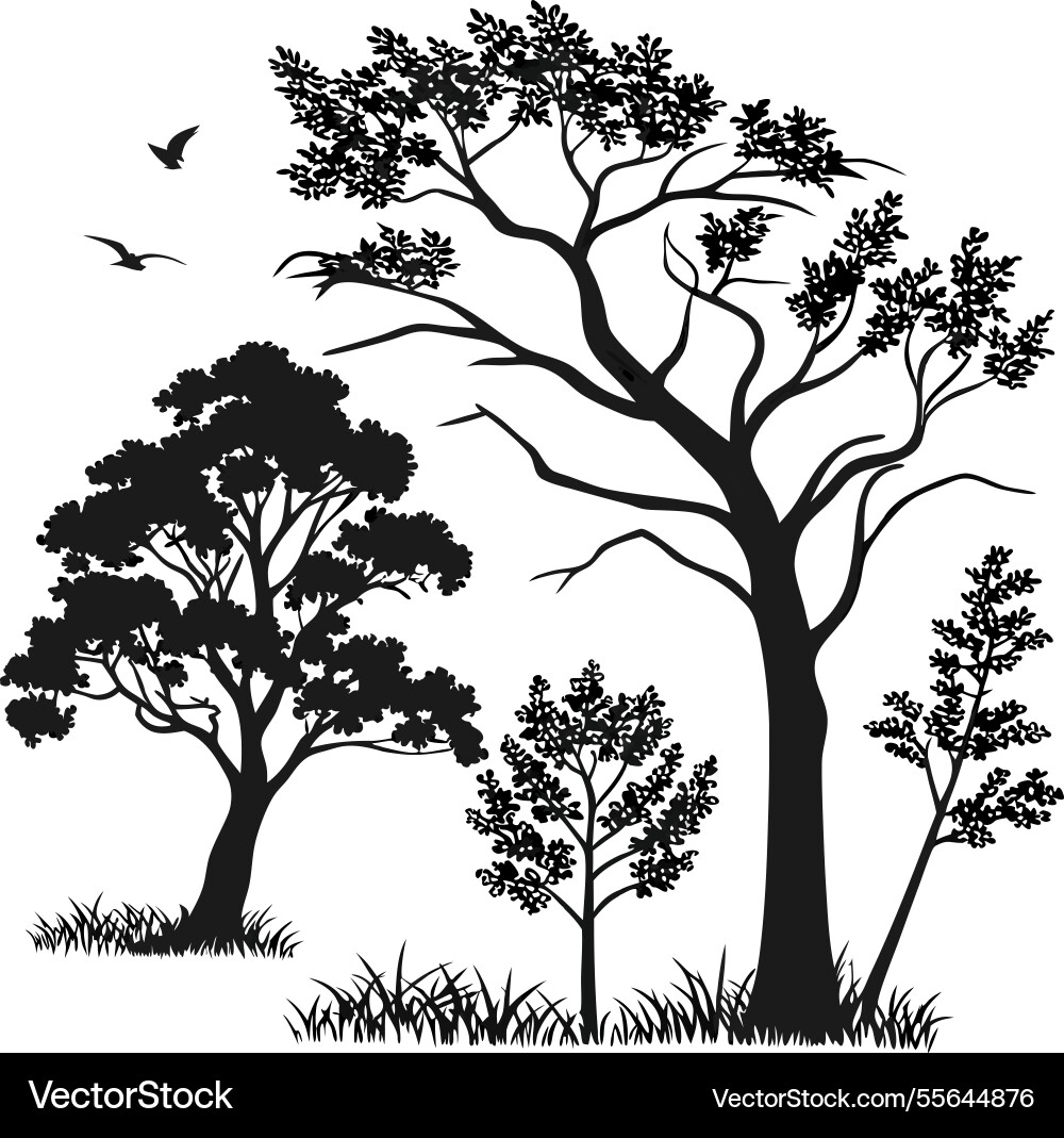 Oak bare tree silhouette image Oak bare tree silhouette image vector image