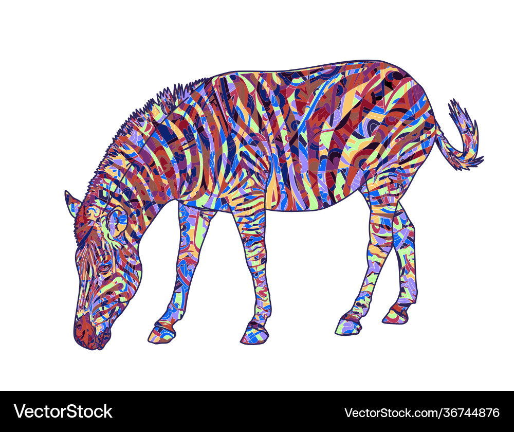 Zebra with colorful pattern Vector Image