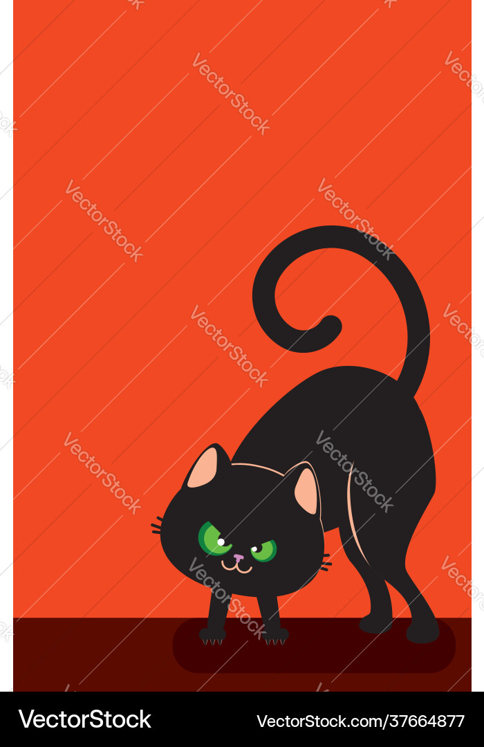 Evil black cat Vector Image