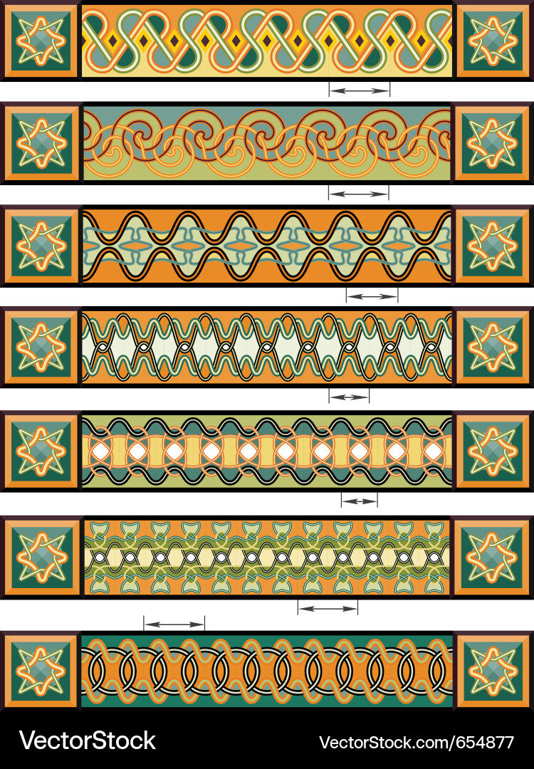 Intricate Celtic Border Pattern vector image