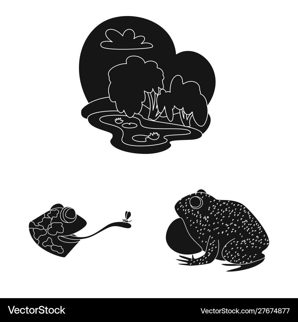 Isolated object fauna and reptile symbol Vector Image