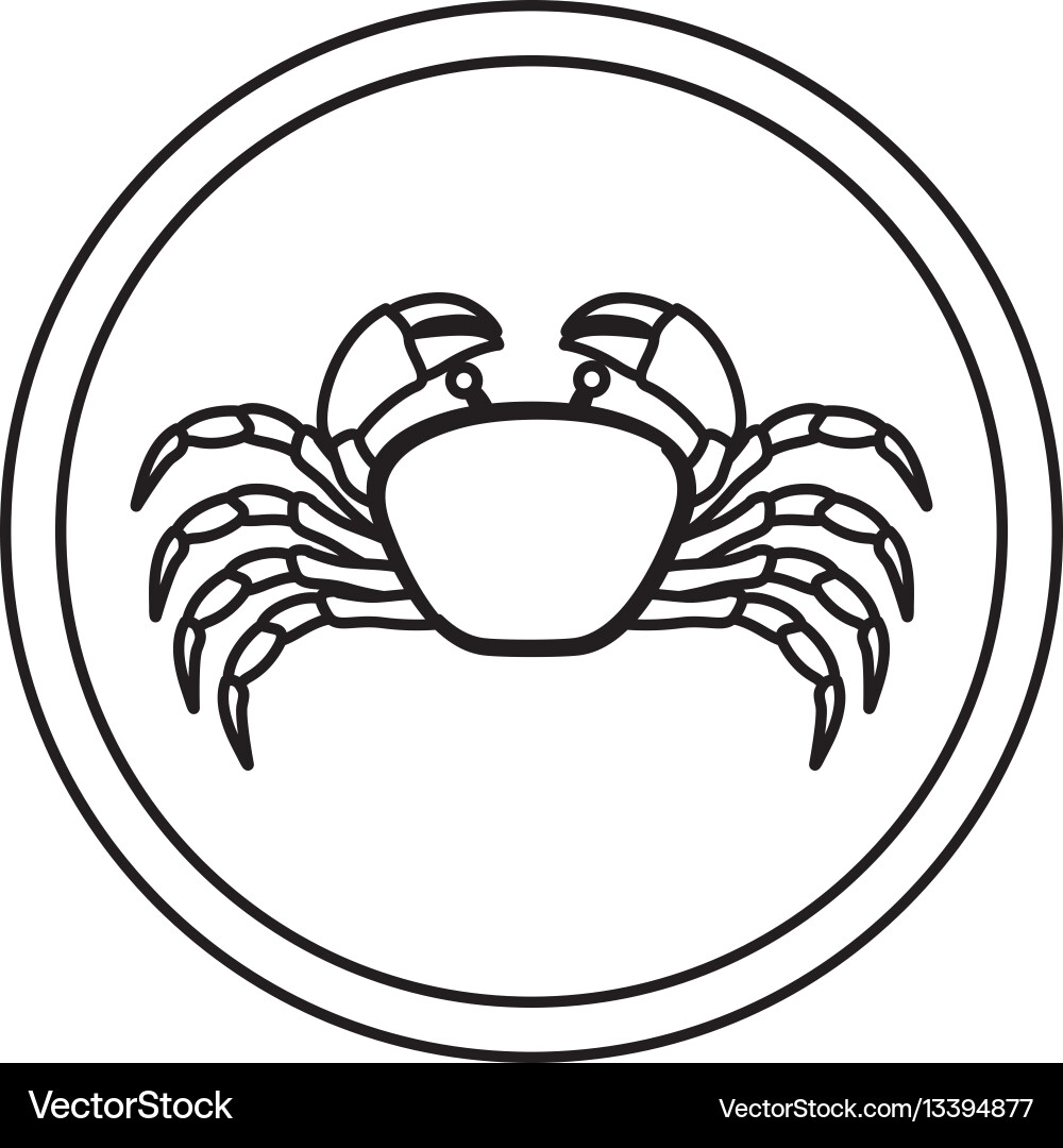 Monochrome line contour with crab in circular Vector Image