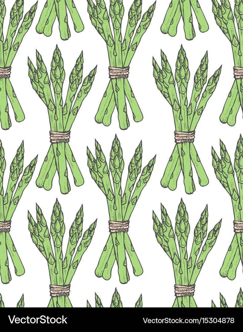 Seamless pattern with sketch style asparagus bunch vector image