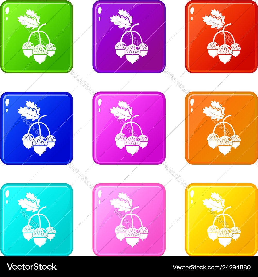Acorn icons set 9 color collection Acorn icons set 9 color collection vector image