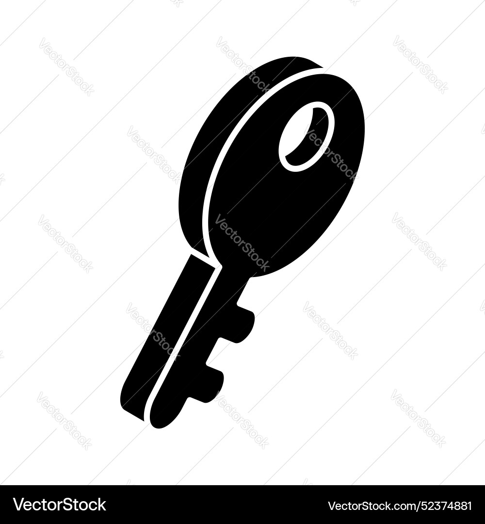 An isometric of access key security icon Vector Image