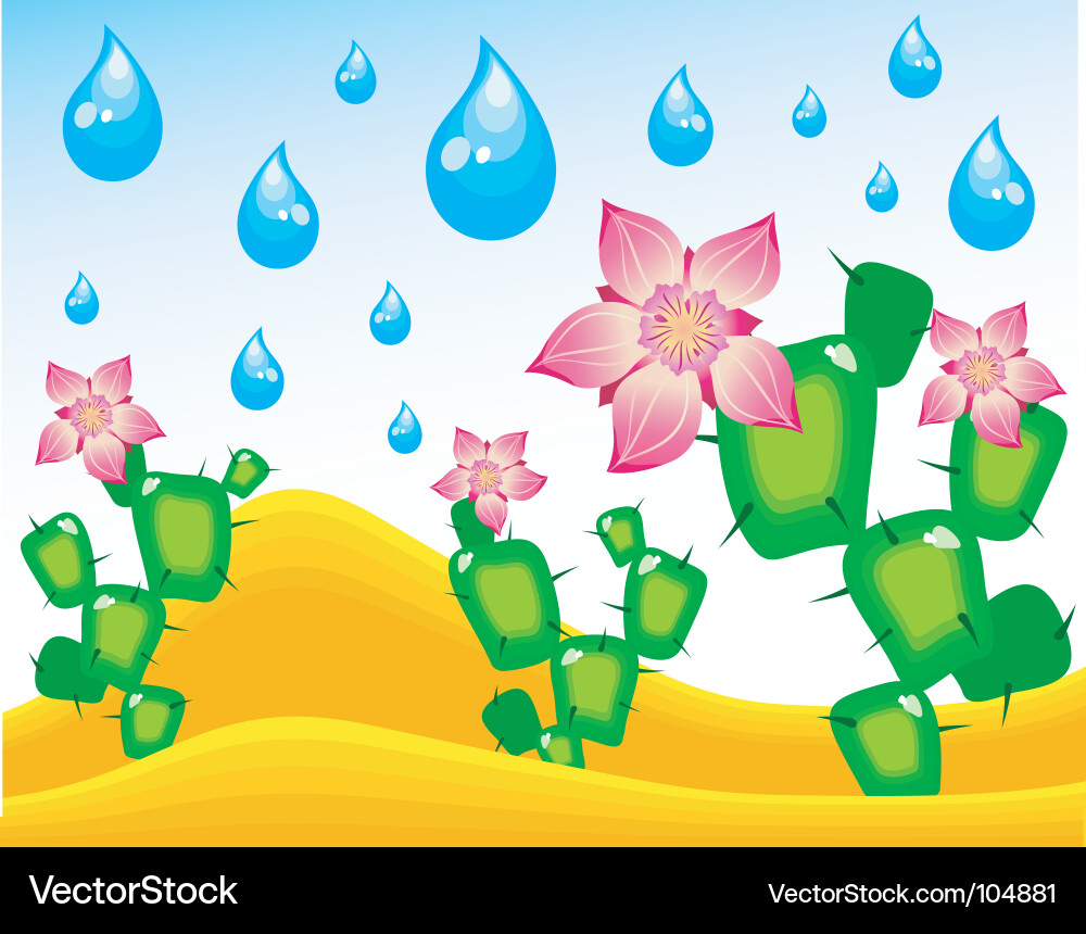 Cactuses Vector Image