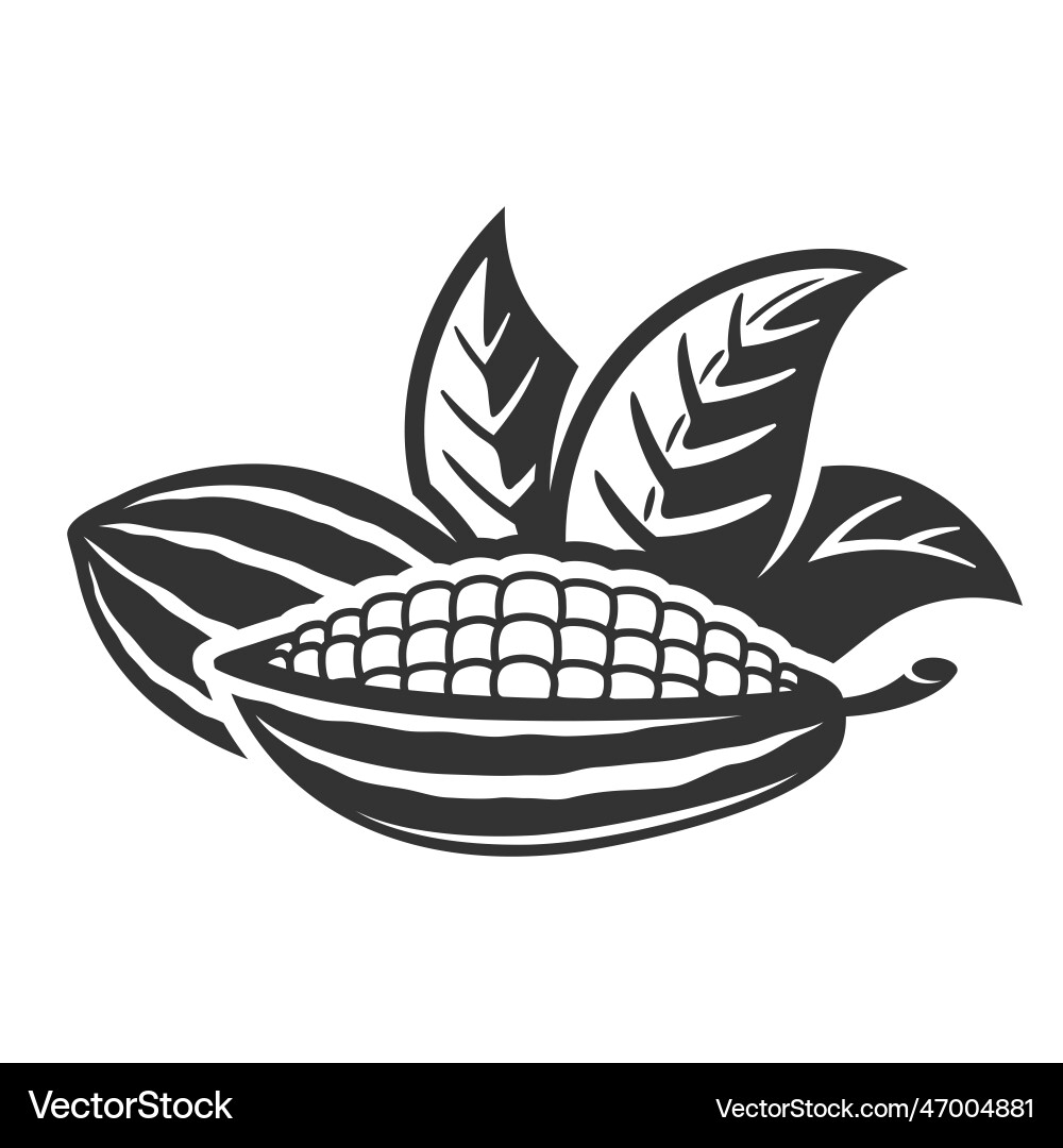 Cocoa pod Cocoa pod vector image