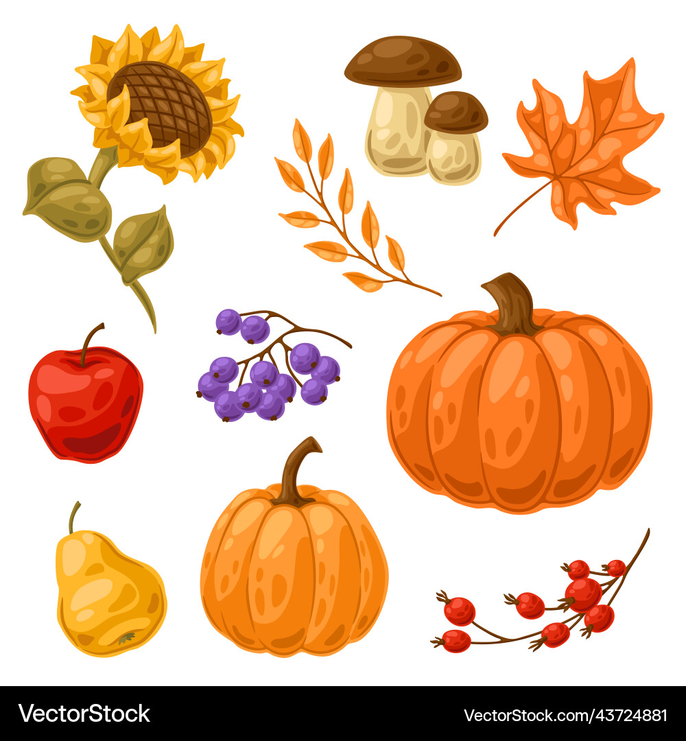 Herbst Ernte Sammlung Vektorbild