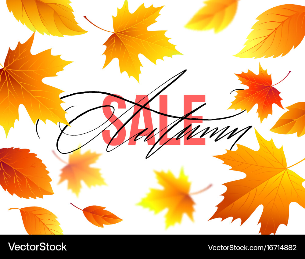 Autumn sale banner background with fall leaves vector image