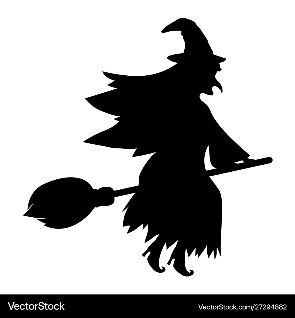 Witch with a cat on broomstick for halloween Witch with a cat on broomstick for halloween vector image