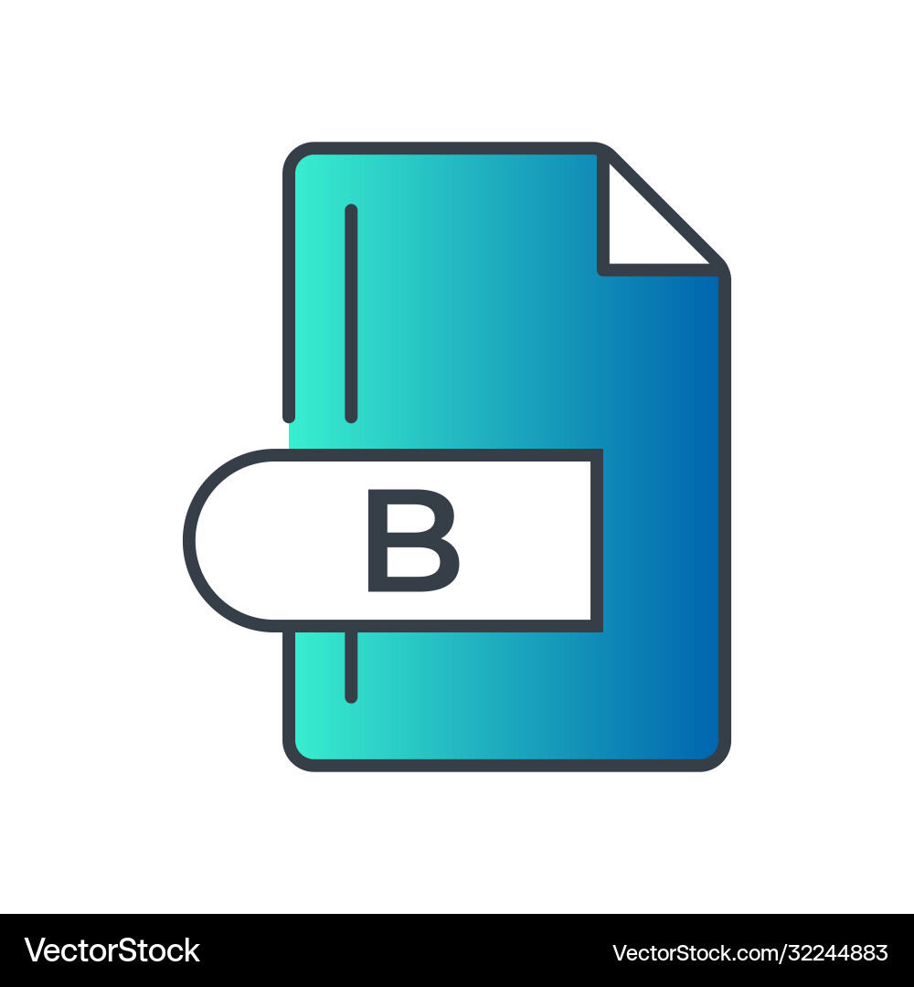 B file format icon extension Vector Image