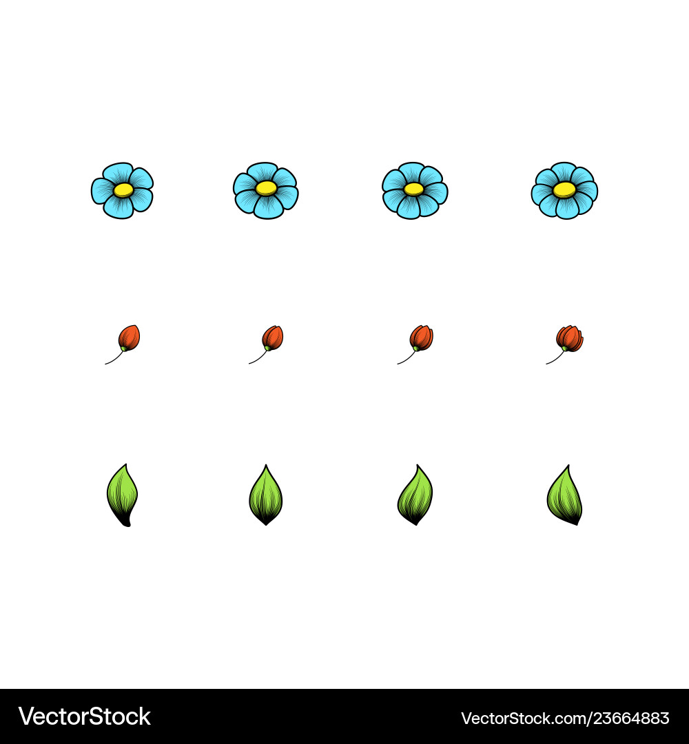 Daisy single color elements Daisy single color elements vector image