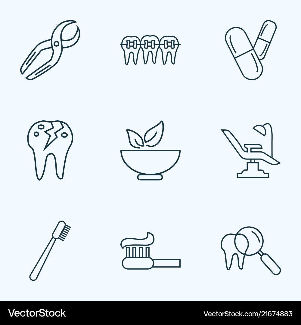 Enamel icons line style set with toothpaste Enamel icons line style set with toothpaste vector image