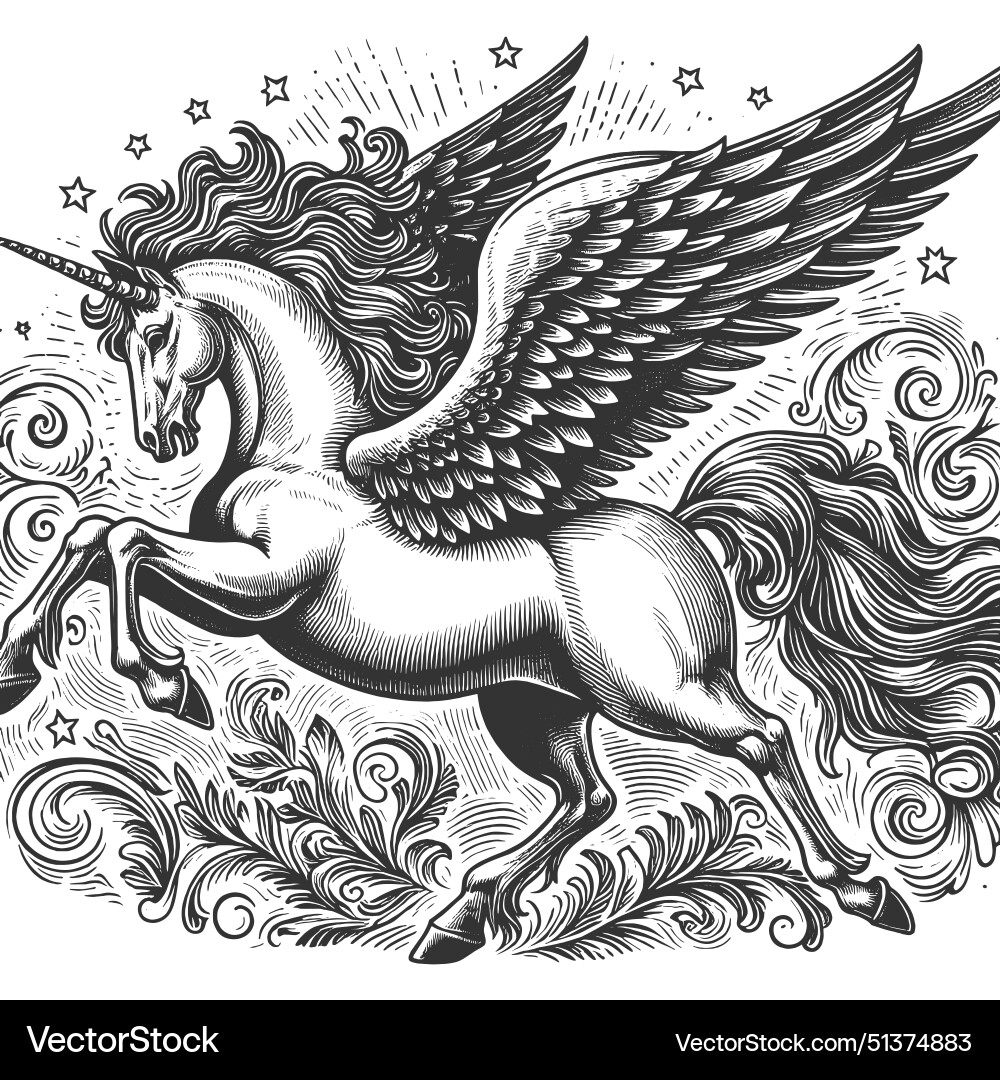 Winged Pegasus Engraving – Royalty-Free Vector | VectorStock