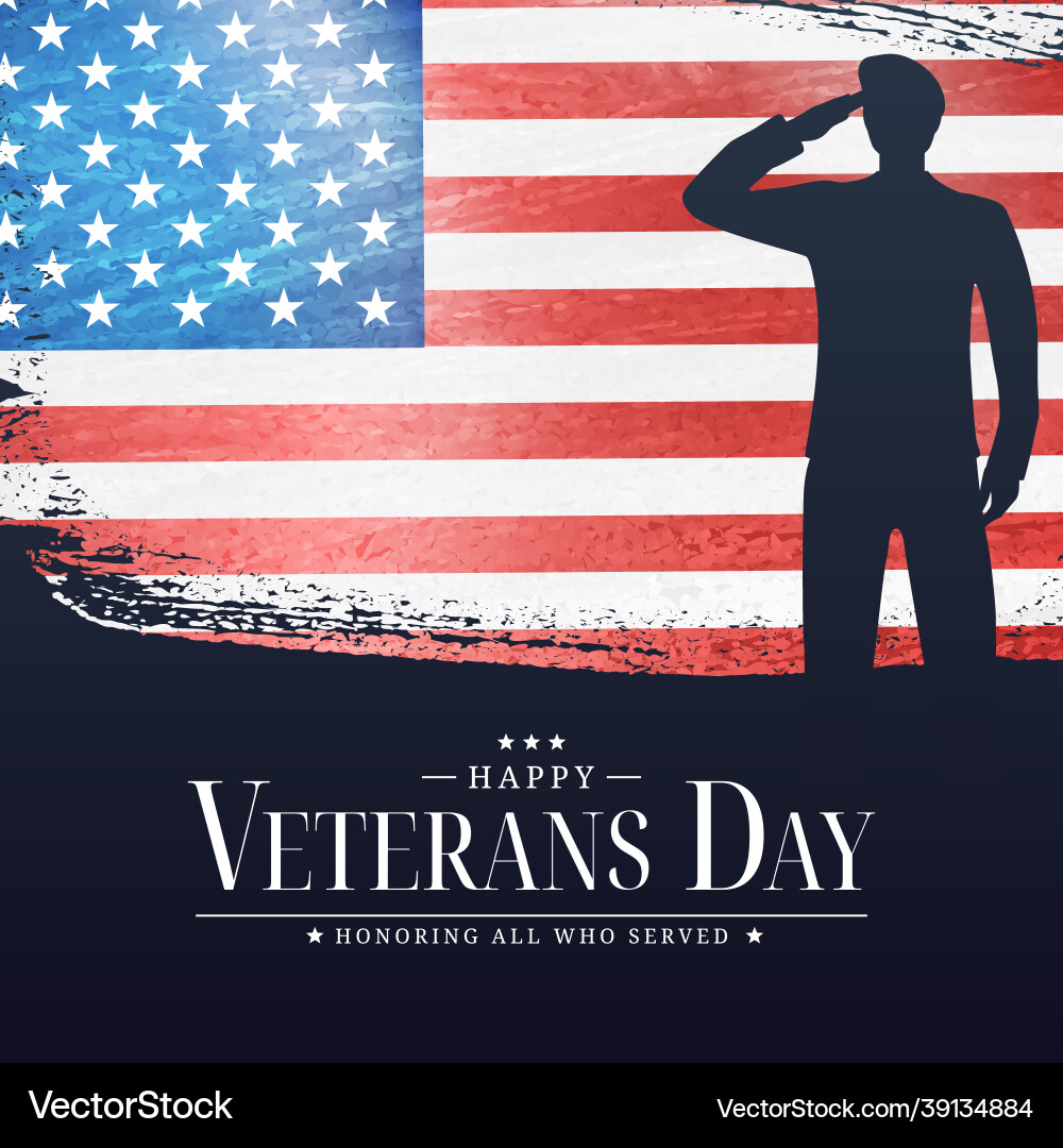 Veterans Day Patriotic Poster vector image