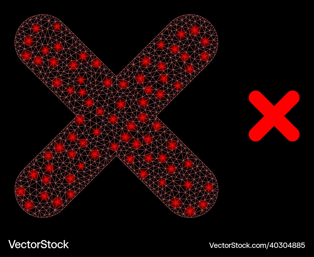 Mesh web x-cross with bright network Mesh web x-cross with bright network vector image