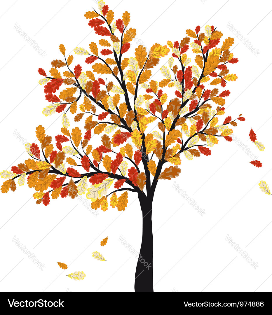 Autumn Oak Tree Vector Image