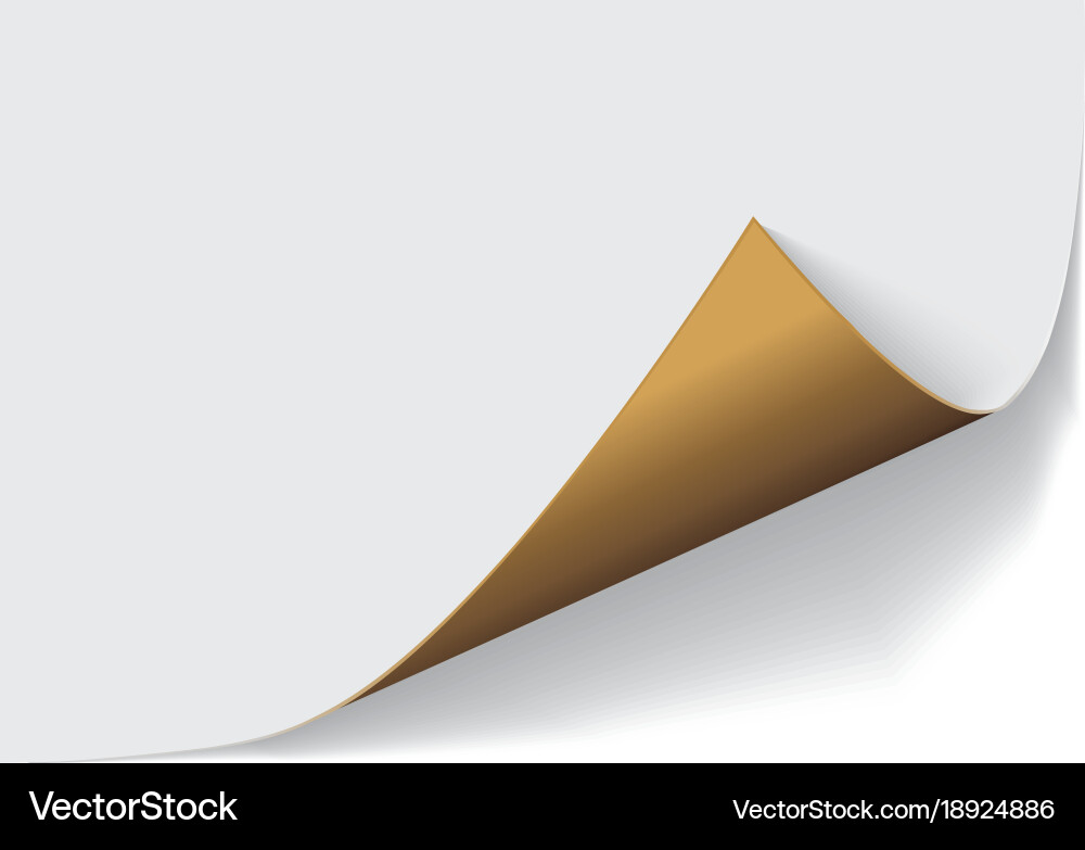 Page curl with shadow on a blank sheet of paper Vector Image