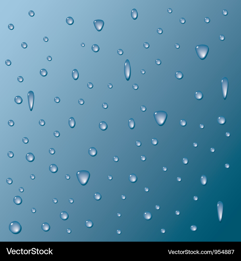 Background from the drops Vector Image