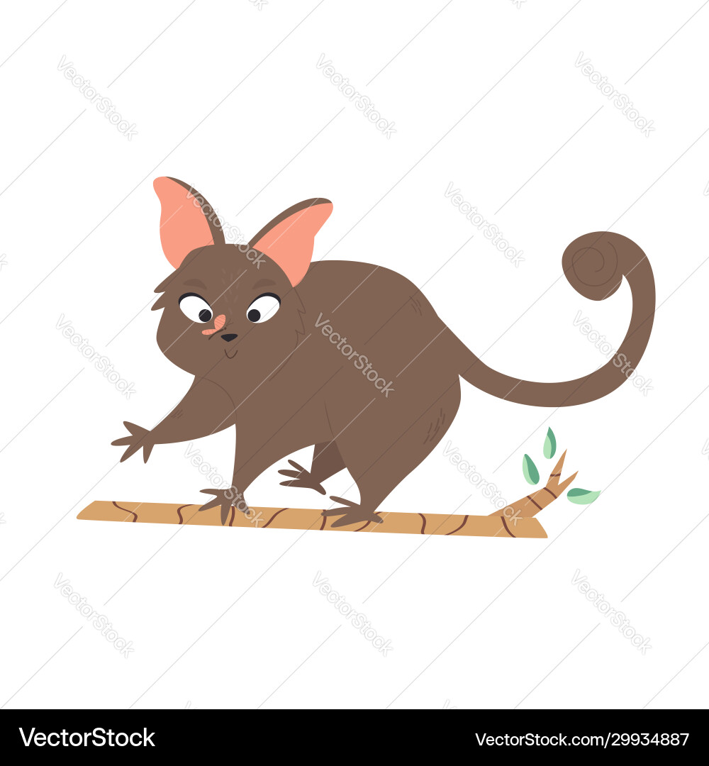 Ein süßes australisches Possum Tiercharakter Design Ein süßes australisches Possum Tiercharakter Design vektorbild