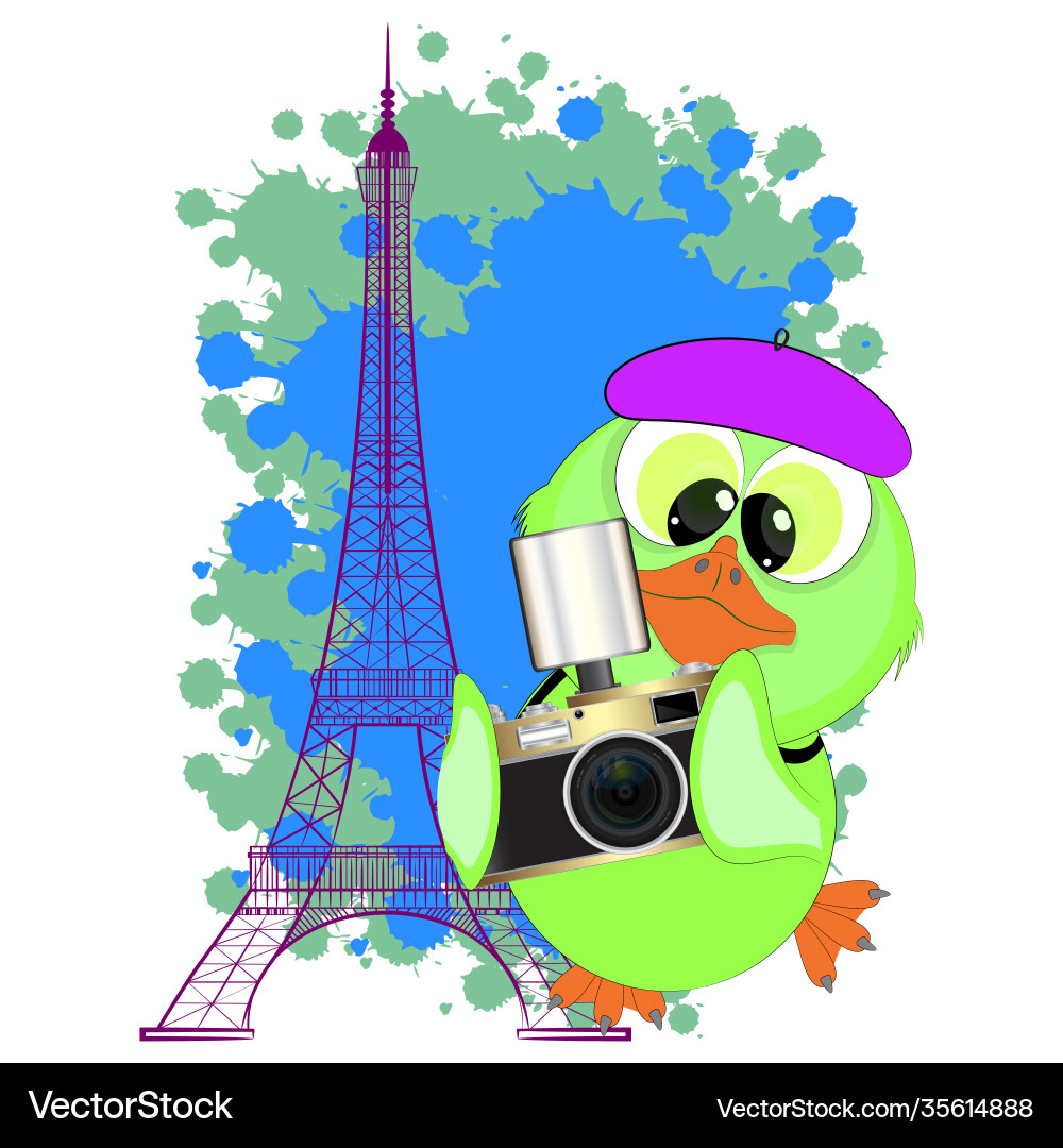 Eiffel tower and photographer duckling Vector Image