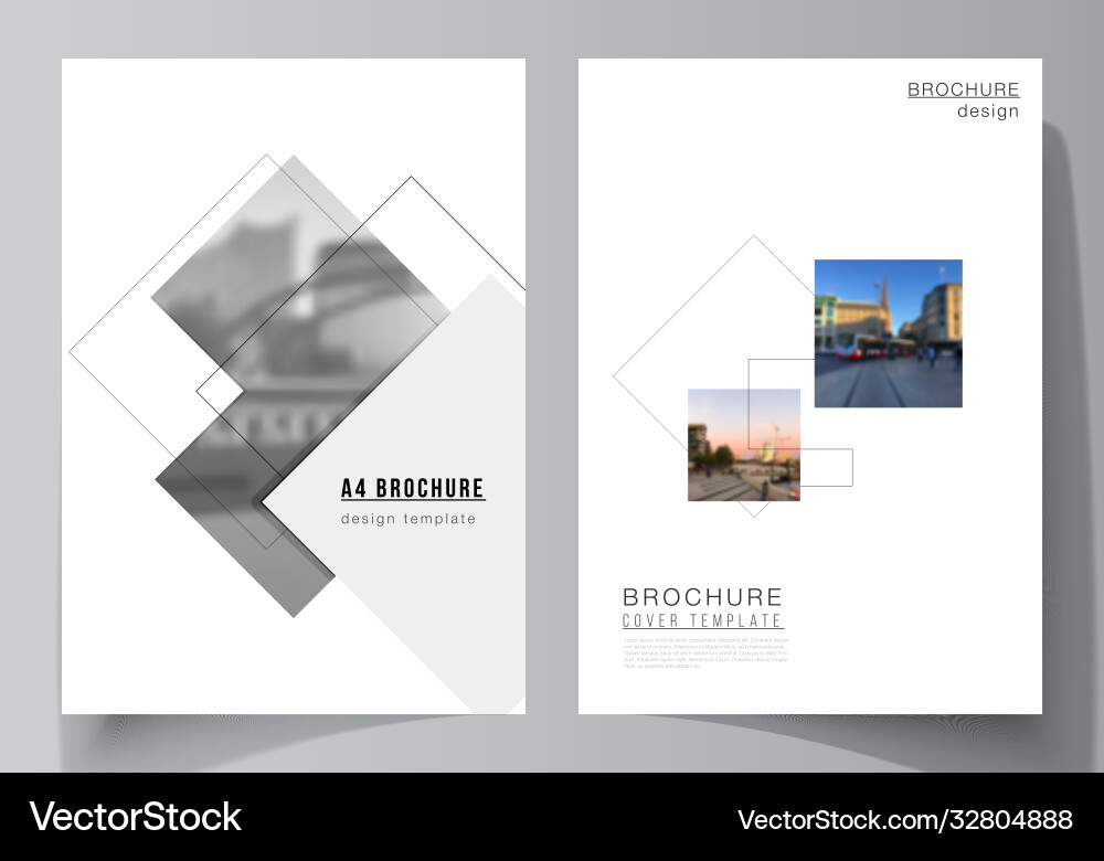 Layout a4 format cover mockups design Layout a4 format cover mockups design vector image