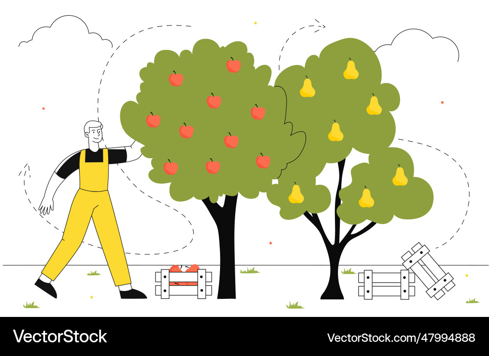 Man picking up apples line concept Man picking up apples line concept vector image