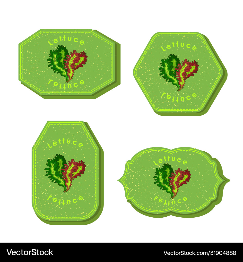Set with four rectangular labels for lettuce vector image