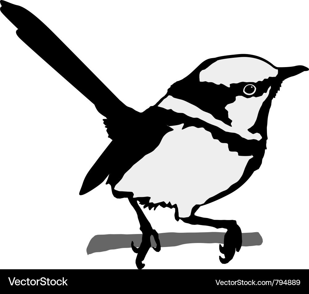 Black Wren Silhouette vector image