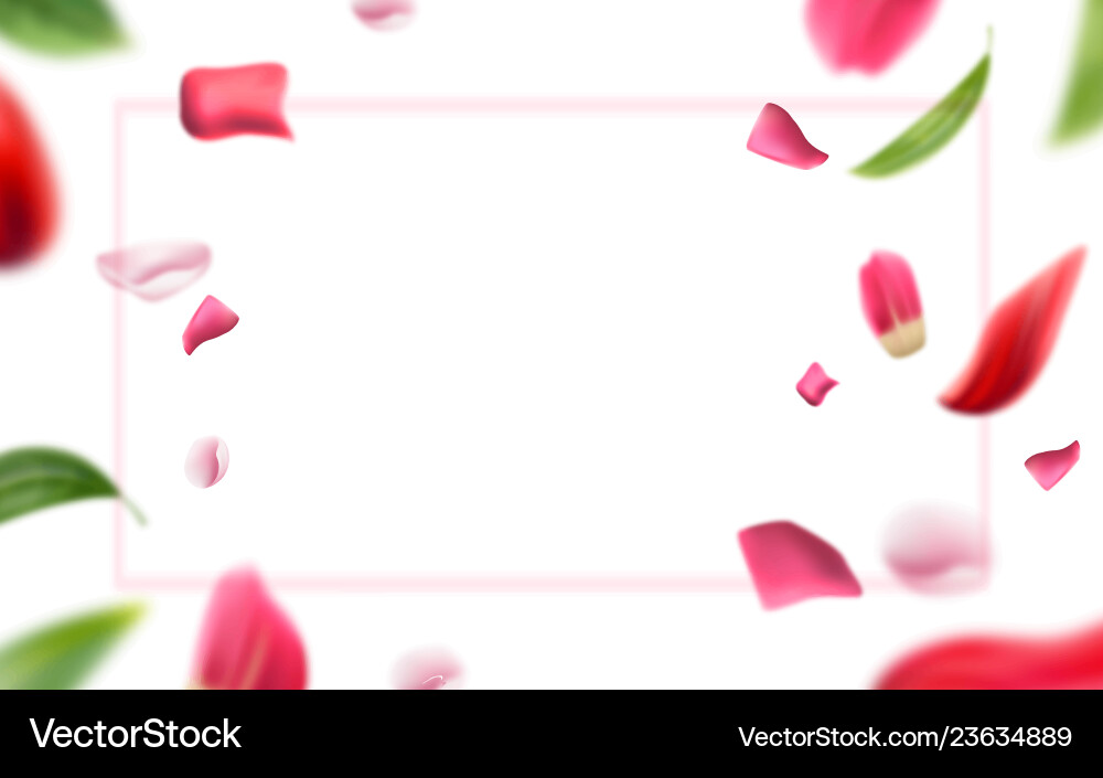 Blurred Rose Petals & Leaves Vector Image