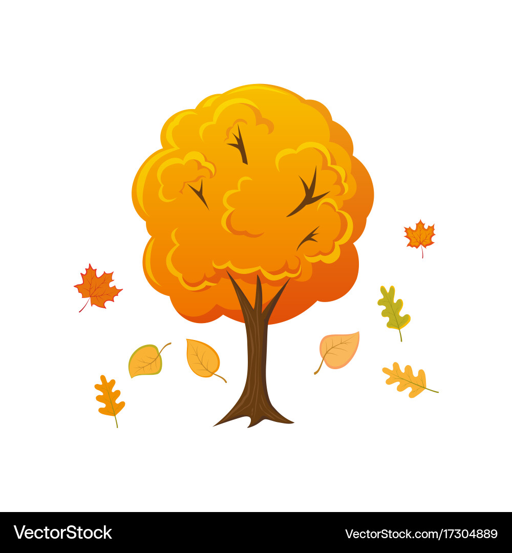 Cartoon style autumn tree with leaves falling down – Royalty-Free Vector |  VectorStock, image size:1000x1080