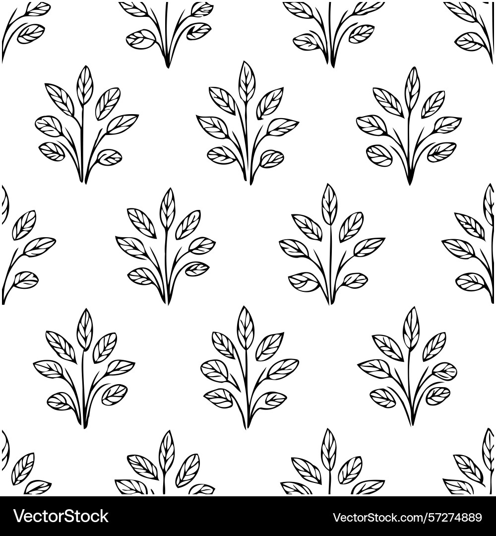 Elegant seamless pattern showcasing symmetrical Vector Image