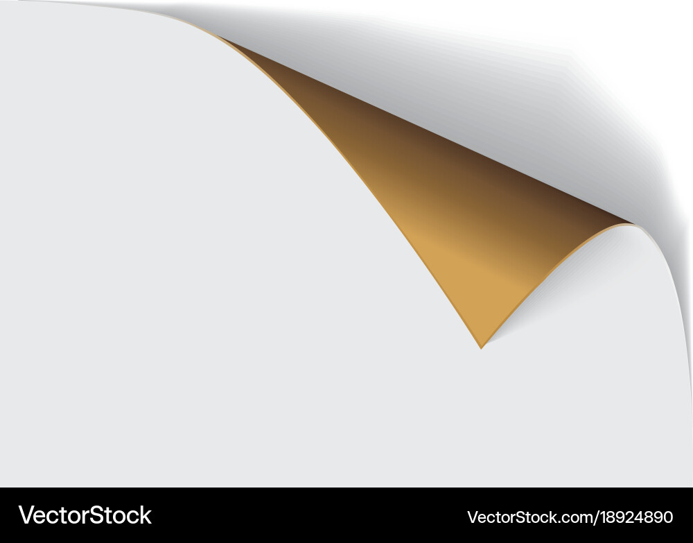 Page curl with shadow on a blank sheet of paper vector image
