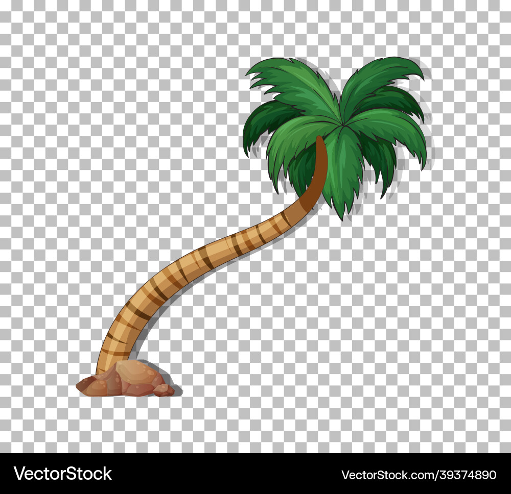 Palm tree on transparent background Palm tree on transparent background vector image